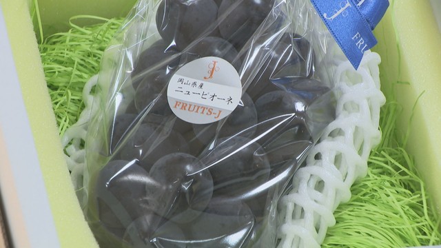 天満屋岡山店に入荷されたニューピオーネ