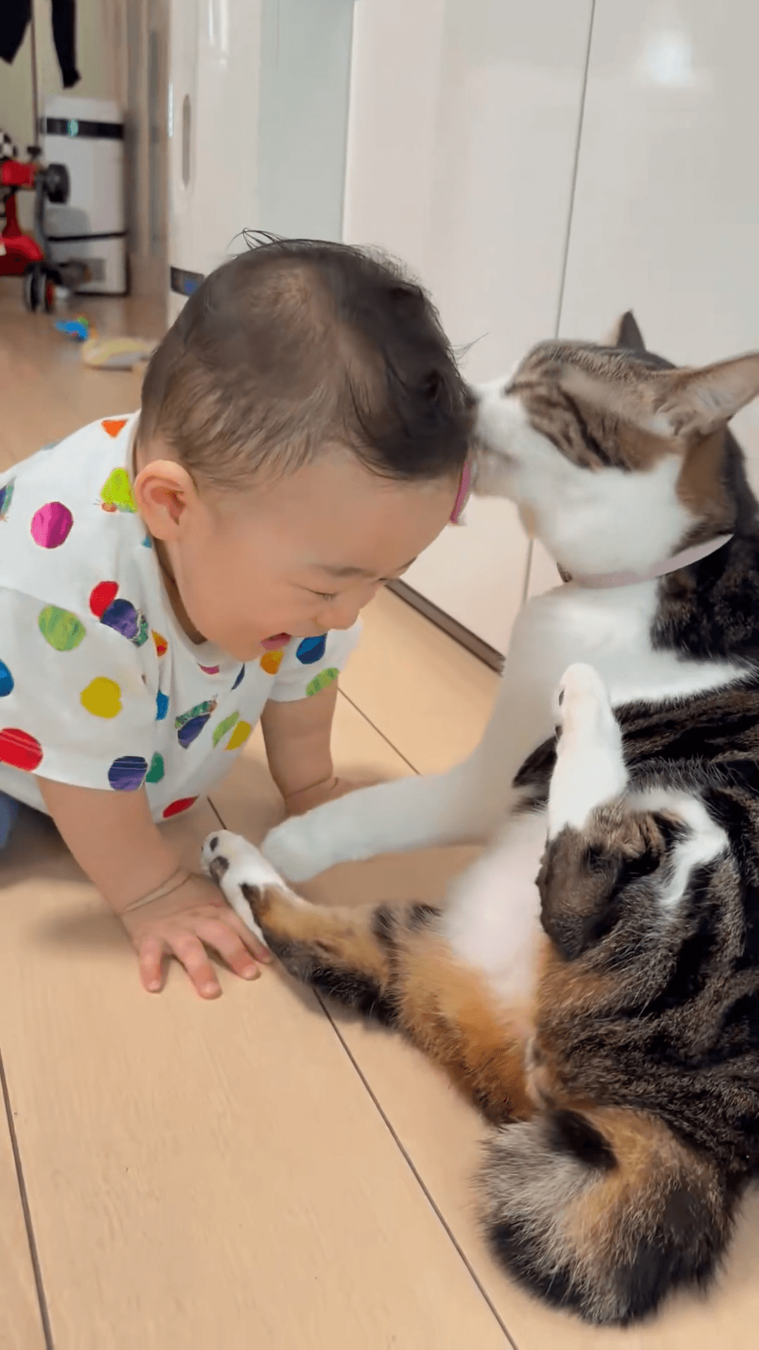 毛づくろいされて笑顔の赤子（やなさん提供）