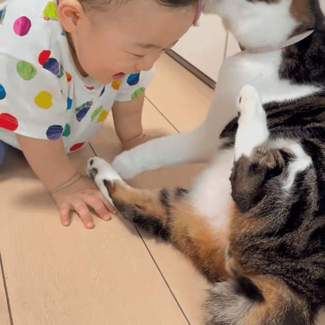 毛づくろいされて笑顔の赤子（やなさん提供）