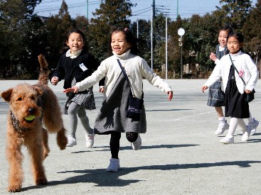 犬を飼う、育む思いやり　「動物介在教育」の効果とは