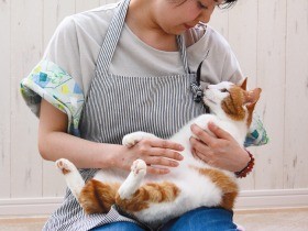 普段の姿を見て、家に迎える猫を選ぶ　保護猫カフェの仕組み