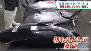 三陸沖のブランドマグロ「三陸塩釜ひがしもの」初競り