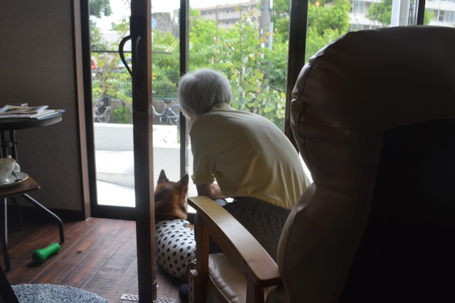 どんなおしゃべりをしているのかな？