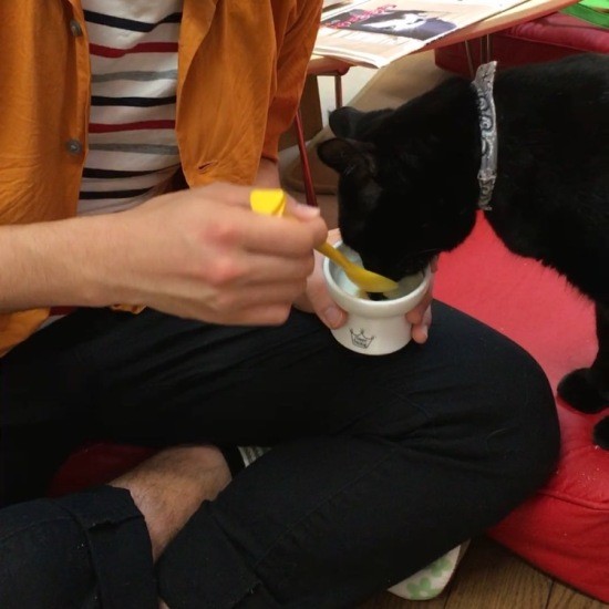 猫の館にいるころ、利真さんにちゅ～るをもらうネロ。この時、パンはカフェのケージにいた（あいみさん提供）