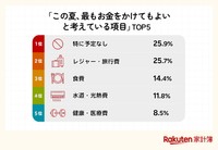 この夏、最もお金をかけてもよいと考えている項目（提供画像）
