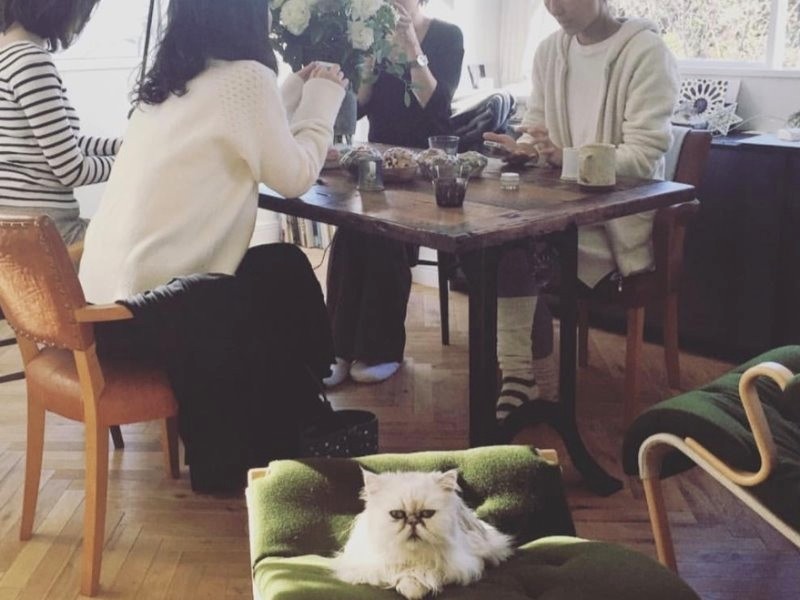 自宅での女子会に参加中「女の子ってたのしい」（早坂さん提供）