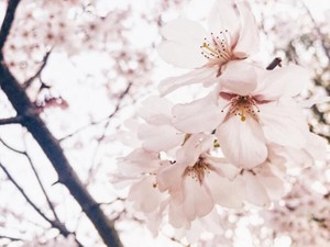 私の初恋は高校の先生。「先生がずっと大好きでした」私の初恋はラジオから始まった