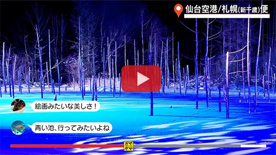 #756仙台空港利用促進①北海道