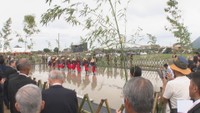 丸亀市の献穀田で田植式