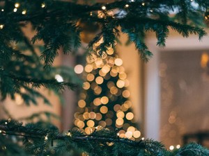 予定のないクリスマス。普段は臆する誘いに乗ったら、夫に出会った