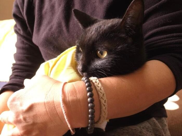 抱っこが大好き