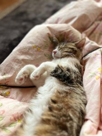 すっかり安心しきっている＝107momokoさん提供