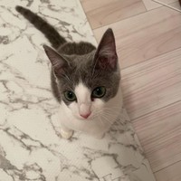 お家に来た頃。最初は臆病だった。