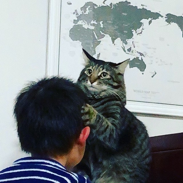 ヘッドマッサージ中？＝kotonet822さん提供