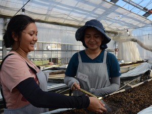 ただの労働力じゃない、外国人と農業を学ぶ場に　熊本が目指す「世界とつながる農業」