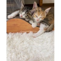 ずっと一緒だよ