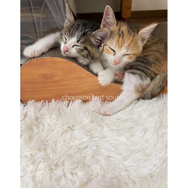 ずっと一緒だよ