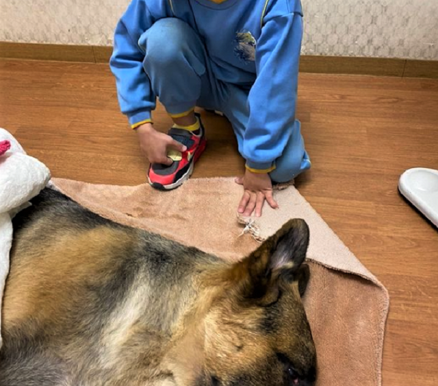 飼い主の男性は「アダムは子どもたちの遊び相手になってくれた大切な家族だった」という（提供画像）