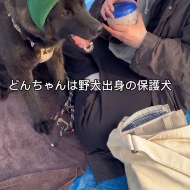 保護犬のどんすけくんと、いつかさん（さらさん提供、Instagramよりキャプチャ撮影）