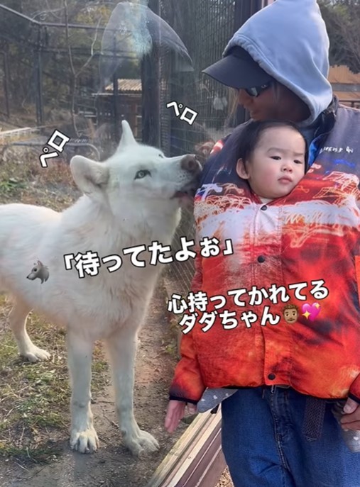 パパを見つめる姿が可愛すぎる♡（提供：＠bokumarleyさん）
