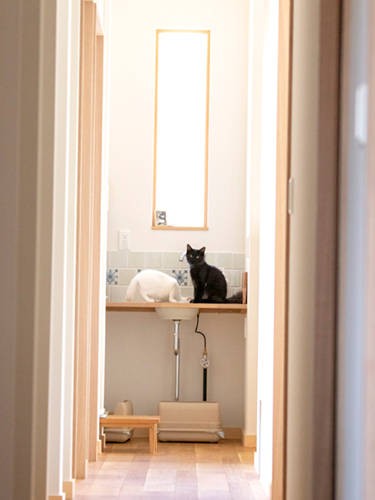 蛇口ひねってー