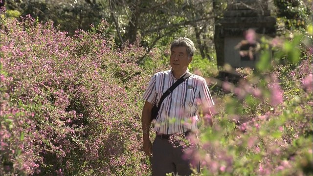 境内一面に紫や白の小さなお花　ハギの花約400株が見頃に　高松市・最明寺