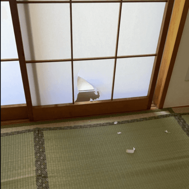 いつの間にか広がってる…！？犯人は？画像提供：サブよものおうち