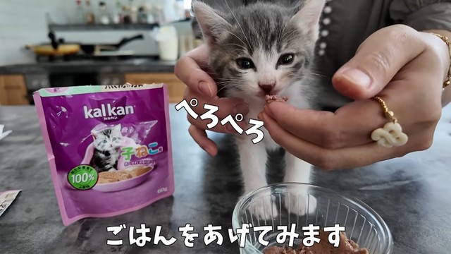 ようやくごはんを食べてくれました！（提供：おかゆ生活さん）