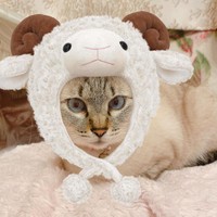 被り物もバッチリ似合う