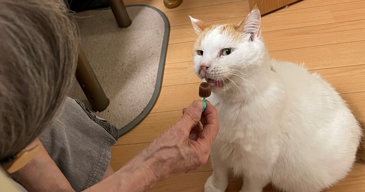 ずっと一緒」がいいね! 動物看護のプロが支えるペット共生型老人