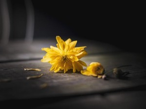 結婚を約束した韓国人の彼氏。好きだけどコロナもあって別れた