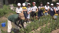 ハッカの栽培方法を学ぶ小学生　総社市