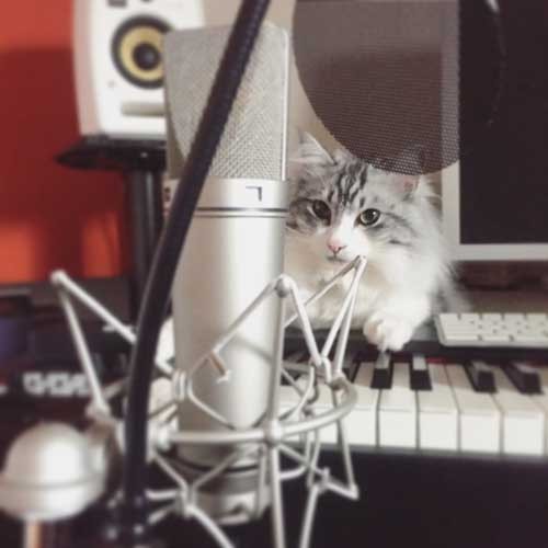 スタジオでくつろぐモイ