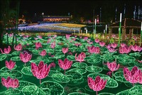 東南植物楽園～沖縄南国イルミネーション～（提供画像）