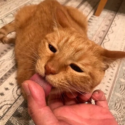 結構、ザラザラ