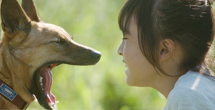 映画『駅までの道をおしえて』から。作りものでなく自然な姿の犬とサヤカ役のちせちゃん