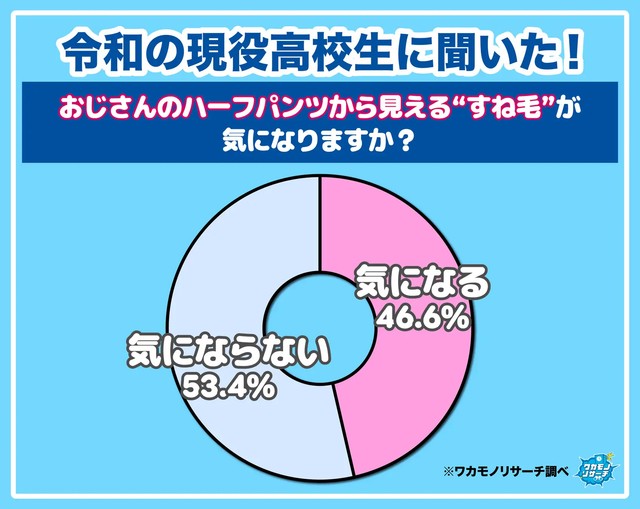 おじさんのハーフパンツから見えるすね毛が気になりますか？（提供画像）