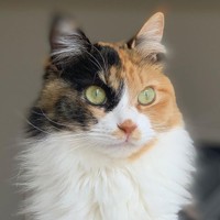 休日、一緒にまったり過ごすのも幸せ