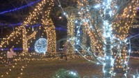 クリスマスを前に大学生らによるイルミネーション　約7万個の灯りが輝く　香川・善通寺市