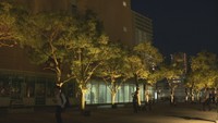 高松市サンポートのライトアップ