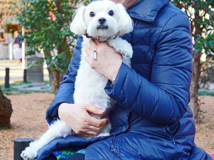 「そして僕は立ち直った。りんごお姉ちゃんのホントの弟むさし君の分まで、長生きするんだ」