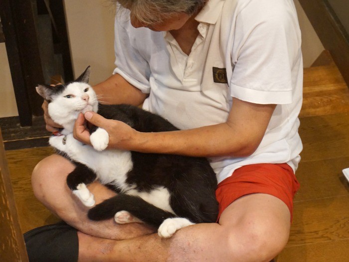 食事前のスキンシップ（ねりまねこ提供）