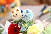 色とりどりのアニマルフラワー