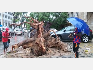 セネガルでも豪雨で家が「浸水」　アフリカで実感する気候変動