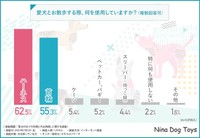 愛犬とのお散歩の必須アイテム（提供画像）