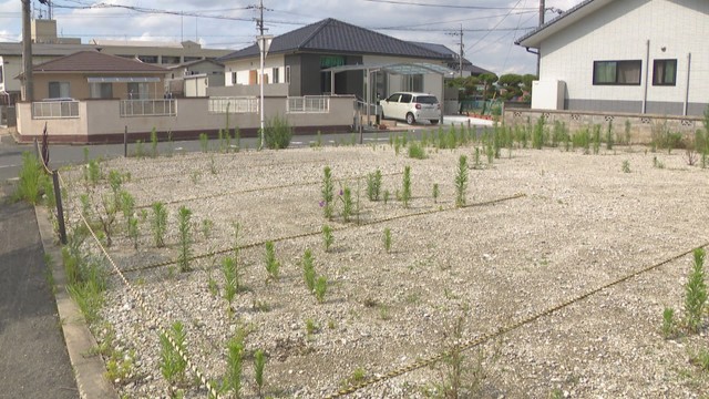 西日本豪雨被災地の住宅融資が7月末で期限　弁護士が延長要望　岡山