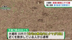 クマのものとみられる足跡が残る　民家の敷地でクマ３頭目撃　宮城・大郷町