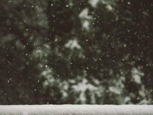 一人で暮らす街で恋しくなる、苦労と楽しみをくれたふるさとの雪