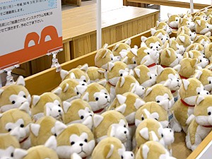 ザギトワに贈った秋田犬ぬいぐるみ　空港での人気も金メダル級