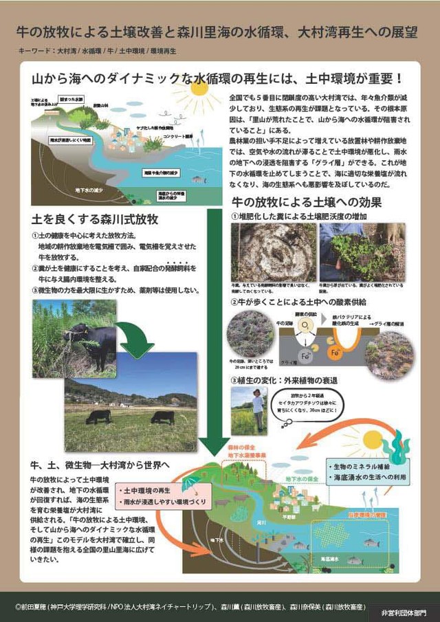 牛の放牧による土壌改善と森川里海の水循環・大村湾再生への展望（森川放牧畜産さん提供）